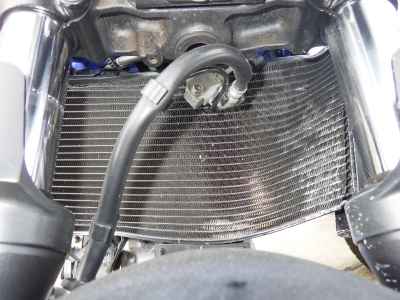 Suzuki SV650 2019