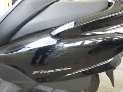 Honda Forza Z 2006