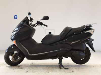 Honda Forza Z 2006
