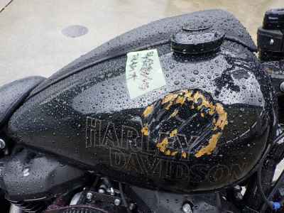 Harley-Davidson FXLRS1920 2022