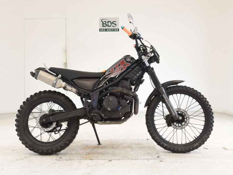 Yamaha TRICKER 2005