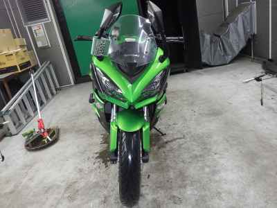 Kawasaki Ninja 1000 2017