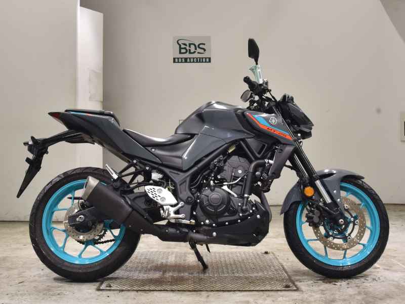 Yamaha MT-25 2022