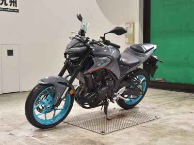 Yamaha MT-25 2022
