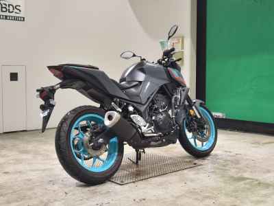 Yamaha MT-25 2022