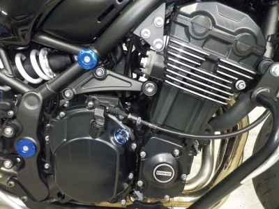Kawasaki Z900RS Cafe 2019