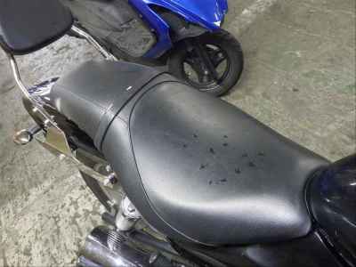Kawasaki Eliminator 250V 1999