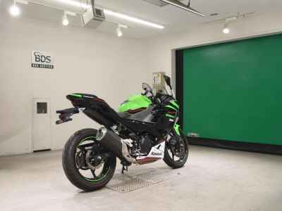 Kawasaki Ninja 250 2021