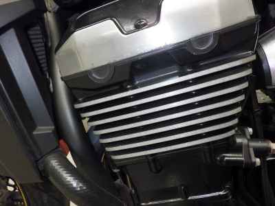 Kawasaki ZRX1200D 2010