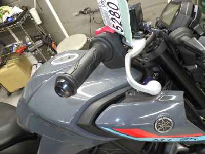 Yamaha MT-25 2021
