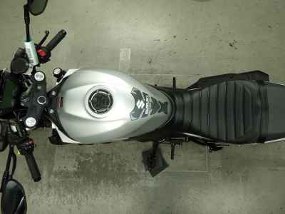 Suzuki SV650X 2024