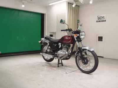 Kawasaki Estrella 2011