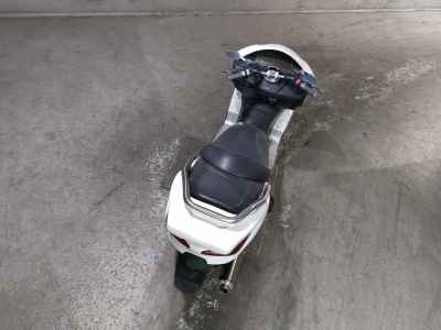 Honda Forza Z 2004
