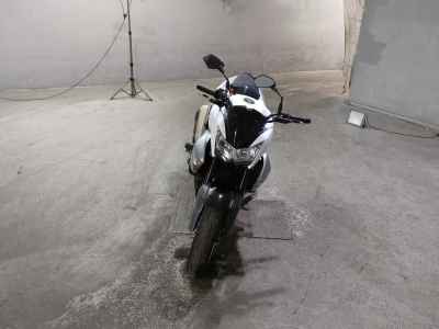 Kawasaki Z1000 2010