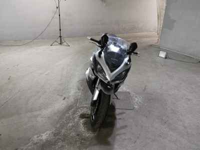 Kawasaki Ninja 1000 2017