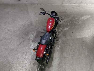 Harley-Davidson Iron XL1200NS 2021