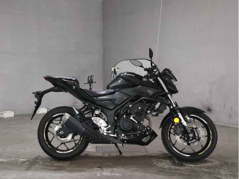 Yamaha MT-25 2017