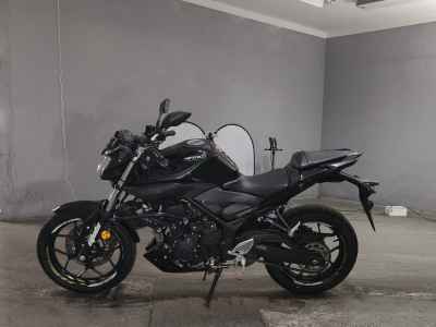 Yamaha MT-25 2017