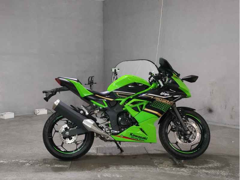 Kawasaki Ninja 250 2020