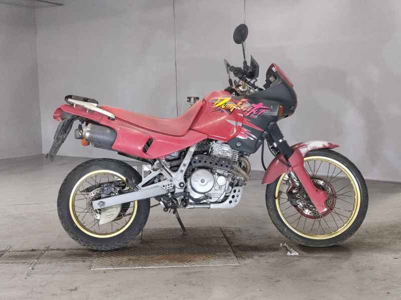 Honda NX650 DOMINATOR 2025
