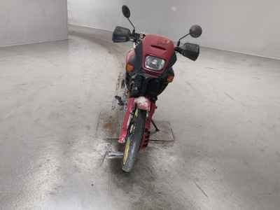 Honda NX650 DOMINATOR 2025