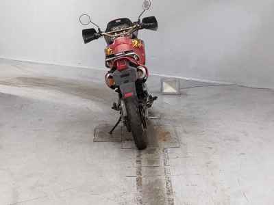 Honda NX650 DOMINATOR 2025