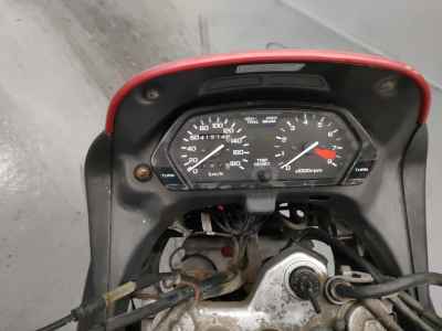 Honda NX650 DOMINATOR 2025