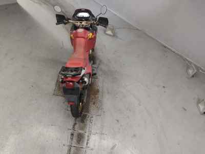 Honda NX650 DOMINATOR 2025