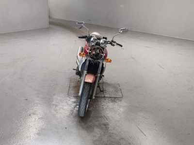 Yamaha ZEAL FZX250 1991