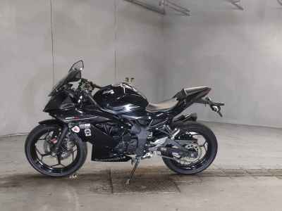 Kawasaki Ninja 250 2016