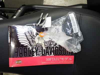 Harley-Davidson FXLRST1920 2024
