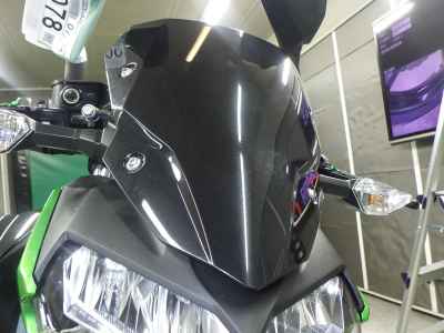 Kawasaki Z250 2023