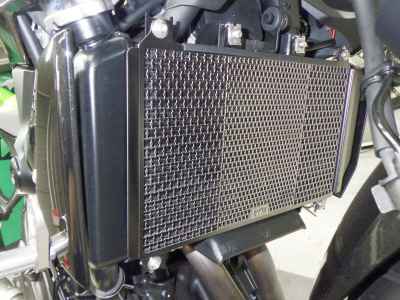 Kawasaki Z250 2023