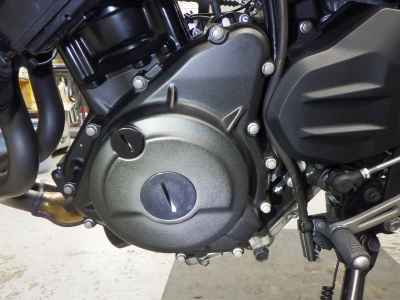 Kawasaki Z250 2023