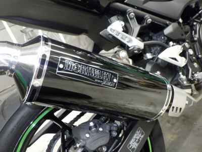 Kawasaki Z250 2023