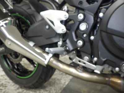 Kawasaki Z250 2023