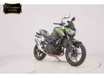 Kawasaki Z250 2023
