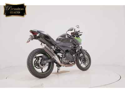 Kawasaki Z250 2023