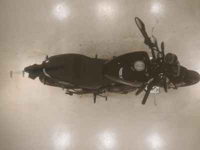 Harley-Davidson X350 2024