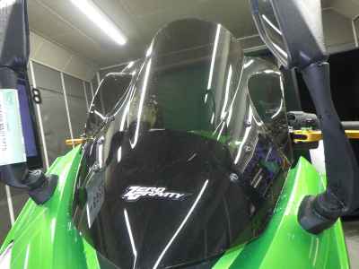 Kawasaki Ninja 1000 2016