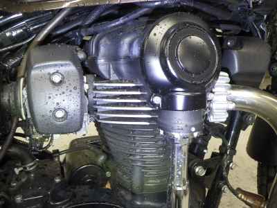 Kawasaki W800 2019