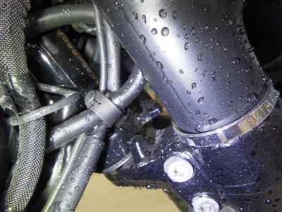 Kawasaki W800 2019