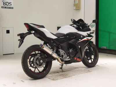 Suzuki GSX250R