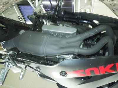 Suzuki GSX250R