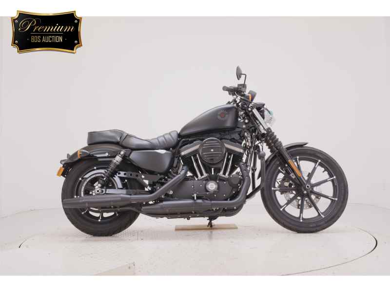 Harley-Davidson XL883N 2020
