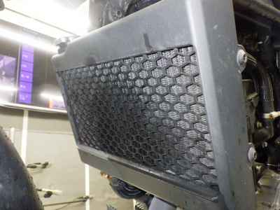 Honda Rebel S CMX250 2022