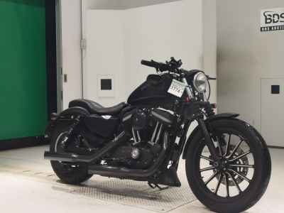 Harley-Davidson XL883N 2012