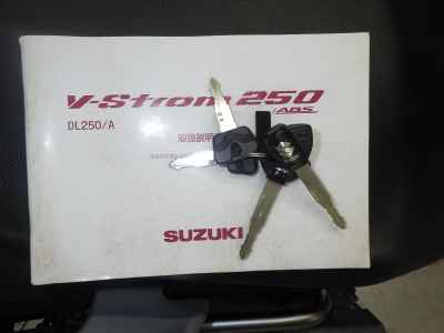 Suzuki V-Strom 250