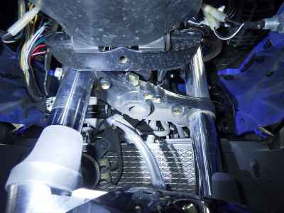 Suzuki GSX250R