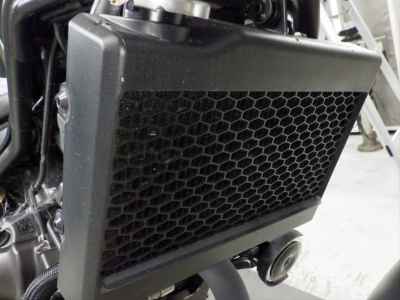 Honda Rebel CMX250 2023